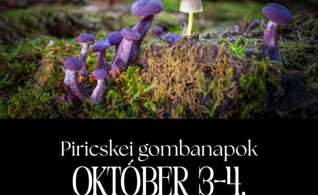 Esemenyek 2026 Piricskeigombanap